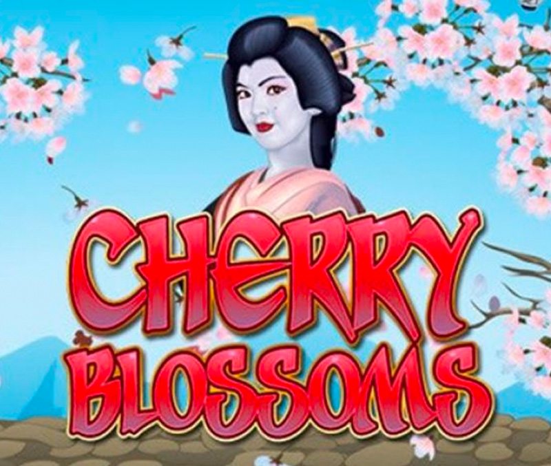 47 Free Spins on Cherry Blossoms at Red Stag logo