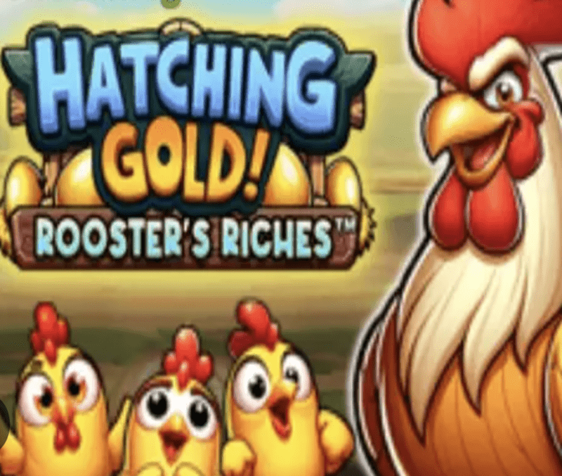 ROOSTER